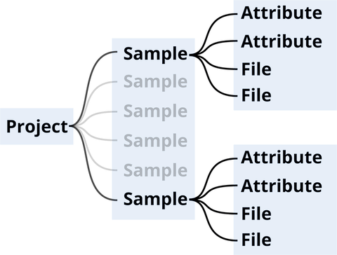 data organization